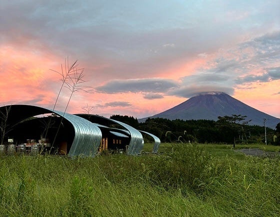 富士山ワイナリー初、収穫前の葡萄畑を舞台にした特別ヴィンヤードパーティー「Fujiyama Vineyard Soirée」開催