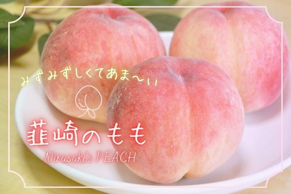 【山梨・韮崎】フルーツ王国から夏の贈り物！圧倒的な甘さとジューシーさを誇る「韮崎の桃」が本格シーズン到来