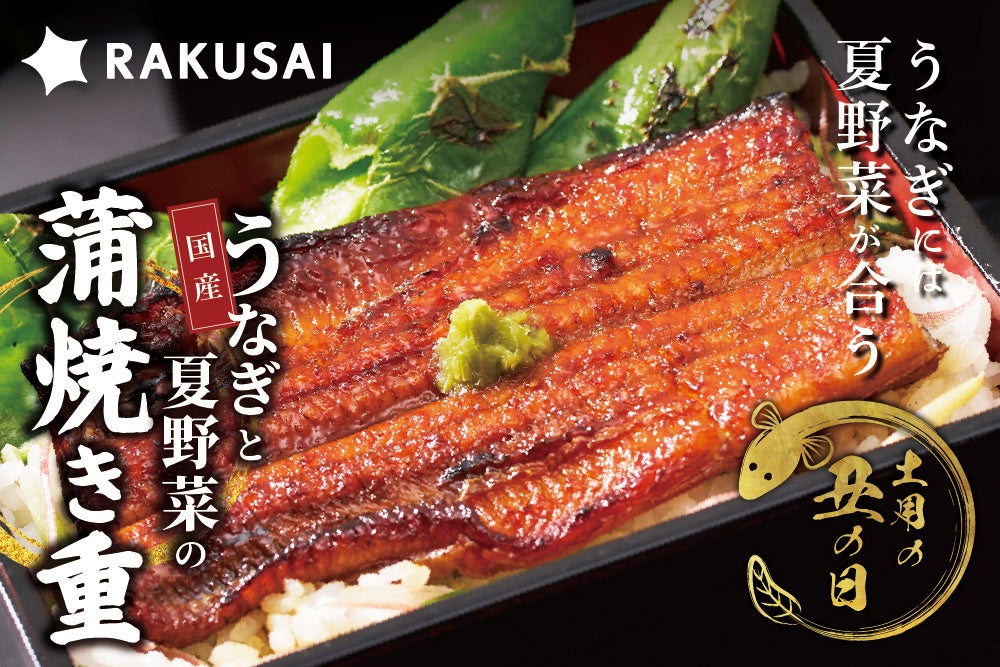 CoCo壱番屋と“ばかうけ”が初コラボ人気メニュー「ロースカツカレー」の旨みとスパイス感を再現した期間限定商品「ミニばかうけCoCo壱番屋監修ロースカツカレー風味」7月20日新発売