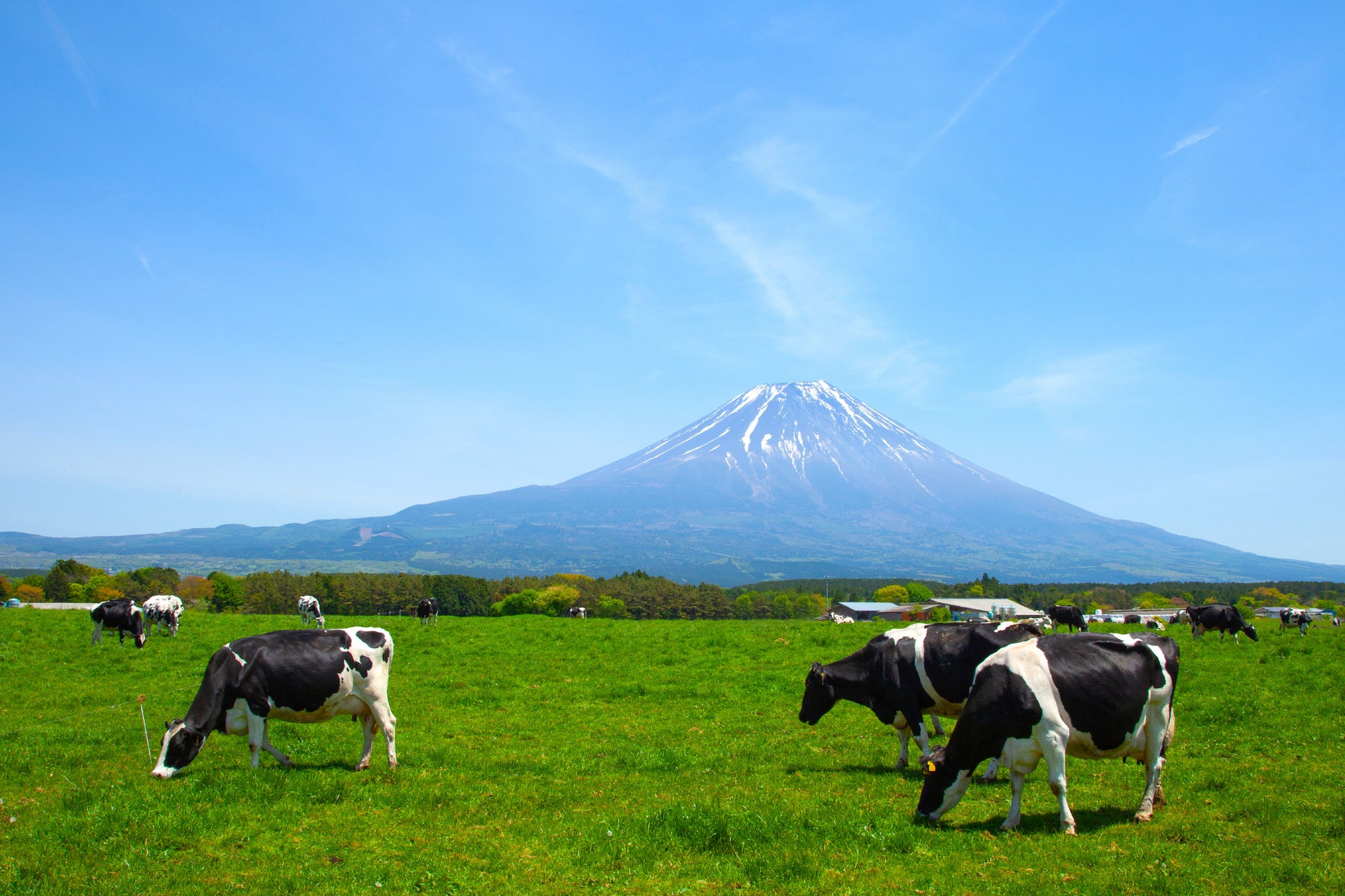 富士山麓の恵み『あさぎり牛乳』を次世代へ。共同運営1周年を機に、ブランド展開を本格始動