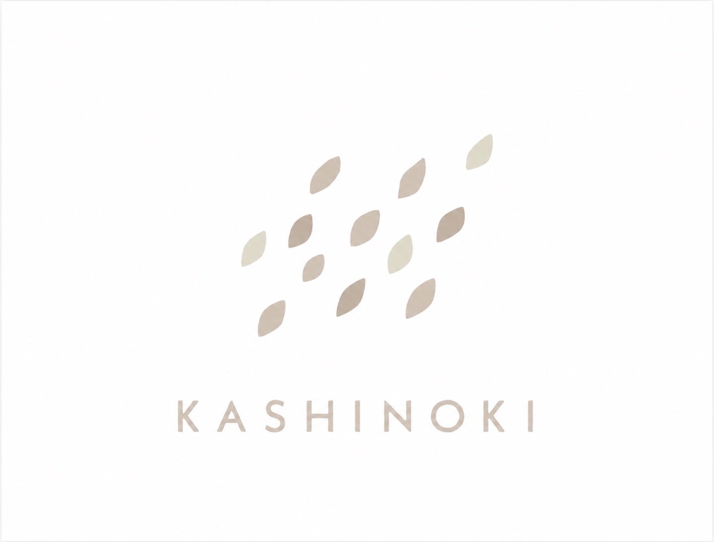 【ブランド初】フランズチョコレートから待望の「アイスクリーム」が登場！京丹後産ジャージーミルクを使用した上質な「アイスクリーム」を旗艦店の京都 BAL 店にて 7 月 18 日(土)より販売開始。
