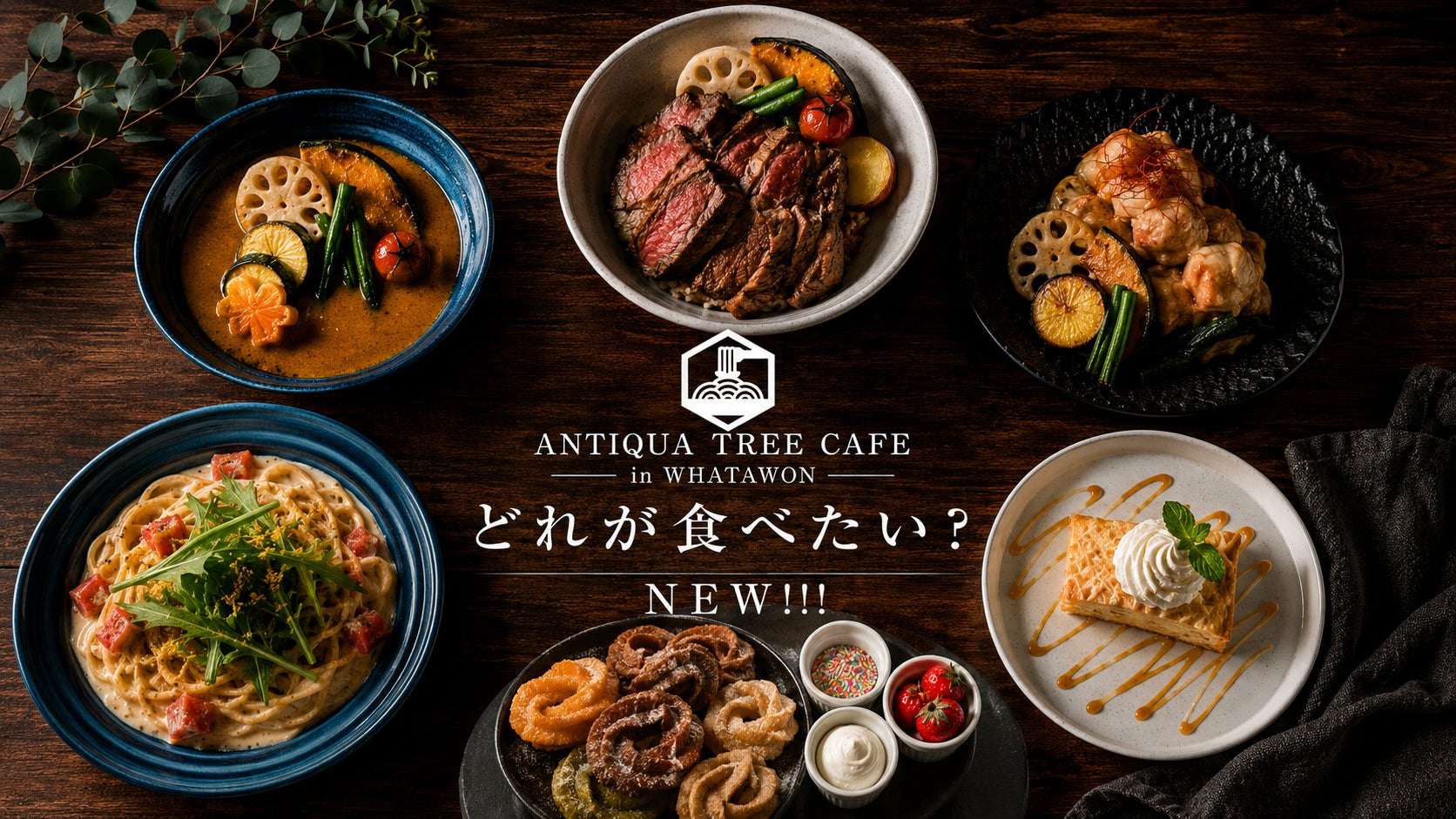 ファッションブランド「antiqua」が手掛けるライフスタイルカフェ『ANTIQUA TREE CAFE』がグランドメニューをリニューアル。食事も空間も、もっと楽しめるカフェへ。