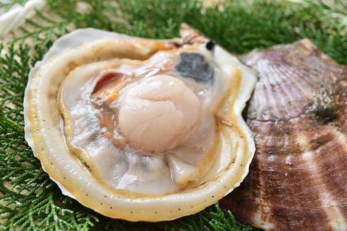「健康ミネラルむぎ茶 MLB™球団マスコット入りスペシャルボトル」販売開始から2週間で2,500万本突破(※1)