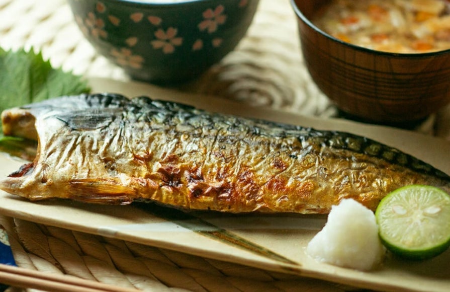 骨取り魚の飯田商店、年間サバ取扱量約1.5万トン