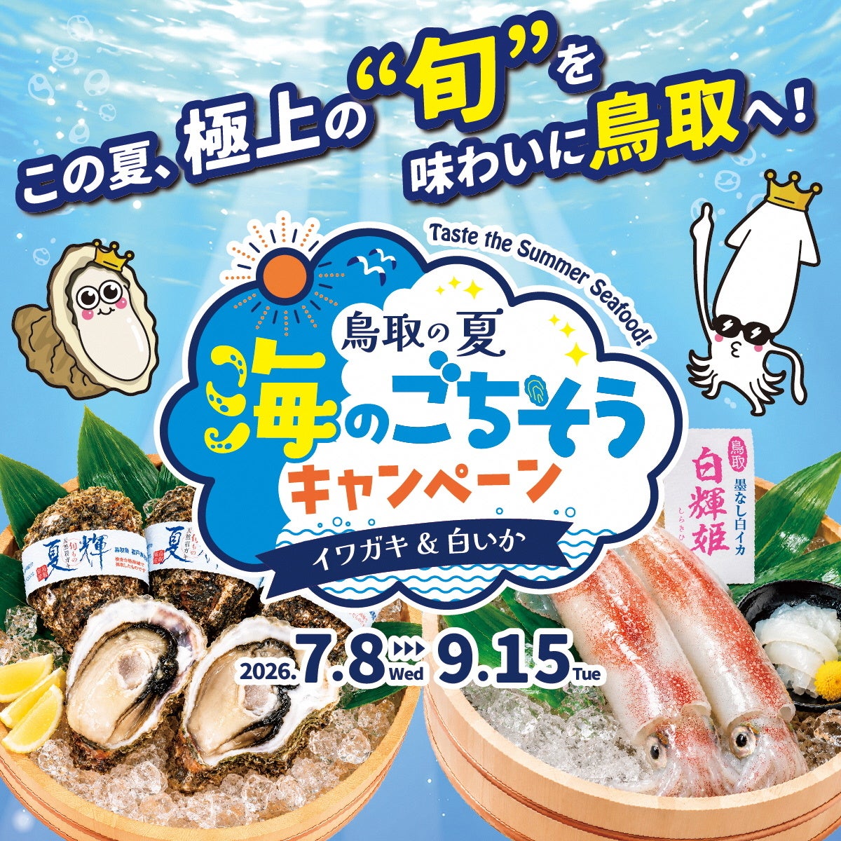 鳥取の夏　海のごちそうキャンペーン～イワガキ&白いか～