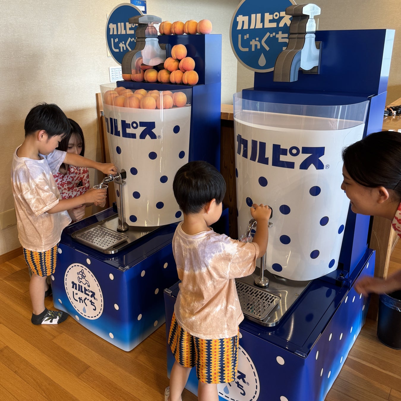 “梅のまち”宮城県大河原町発、日常に寄り添う梅ブランド『ひとしお、大河原』誕生。