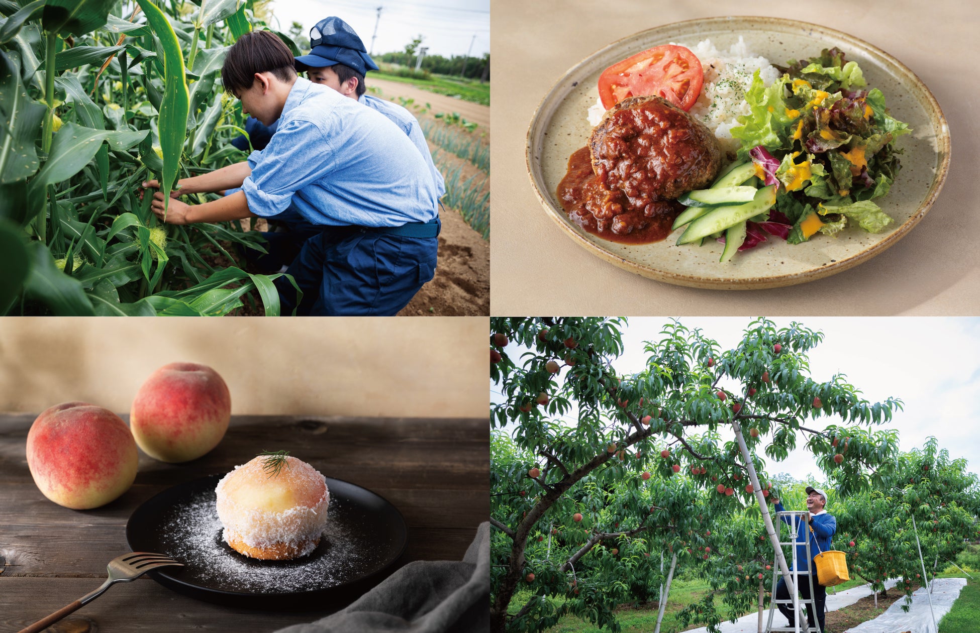 〈7/17(金)〜〉福島県鏡石町「農家が主役のカフェ VEGETABLE LIFE CAFE」が今年は長期開催夏から冬まで、鏡石町の旬の美味しさをたどる5ヶ月