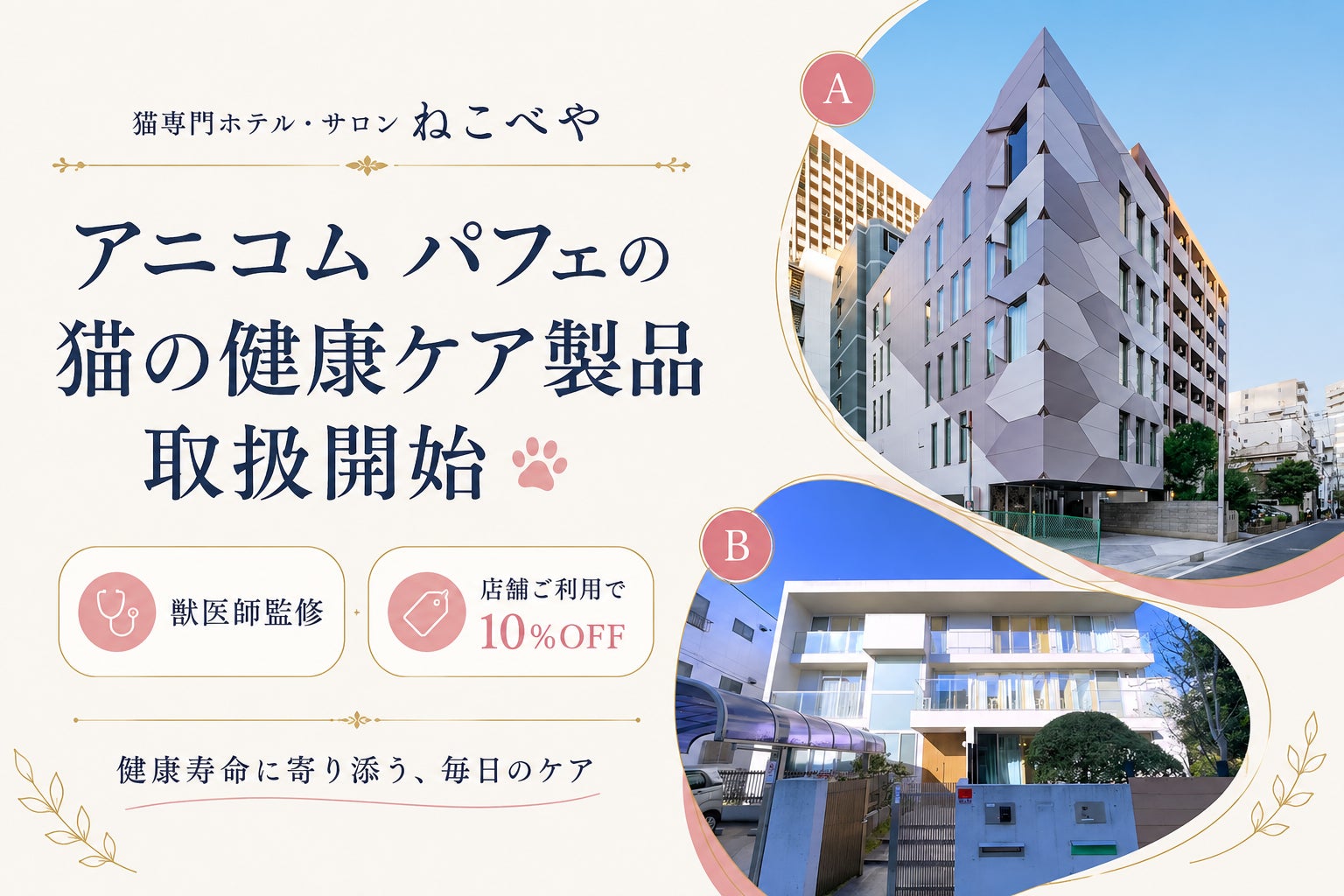猫専門ホテル・サロン『ねこべや』、アニコム パフェの“猫の健康ケア”製品の取り扱いを開始― 保険ビッグデータ×獣医師監修の安心を、猫のプロが選んで店舗で