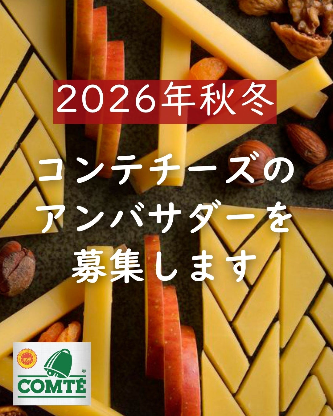 コンテチーズのアンバサダー募集第2弾！