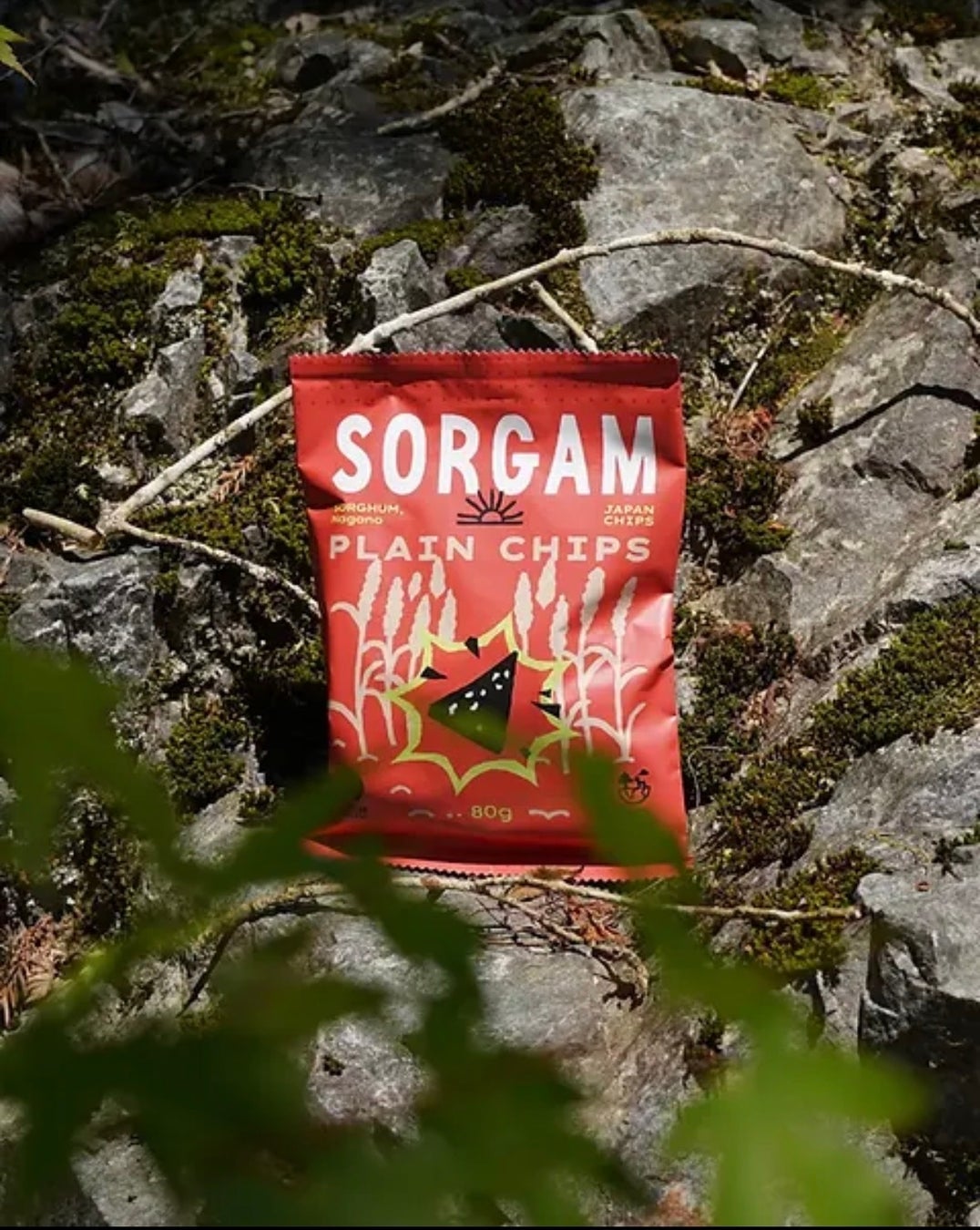 ヘルシーなのに驚くほどジャンキー！信州産ソルガムを使用した「SORGAM CHIPS」がEC＆東京・長野の実店舗にて販売開始！