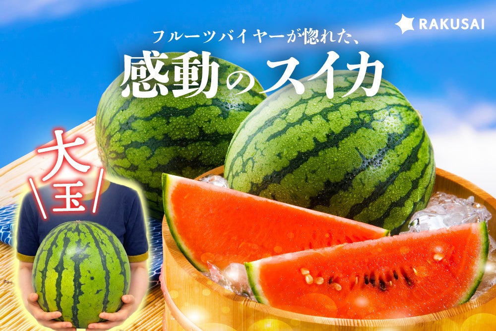 愛媛県菓子工業組合監修、株式会社一六とのコラボアイス「愛媛のタルト風 一六モナカアイス」を発売!