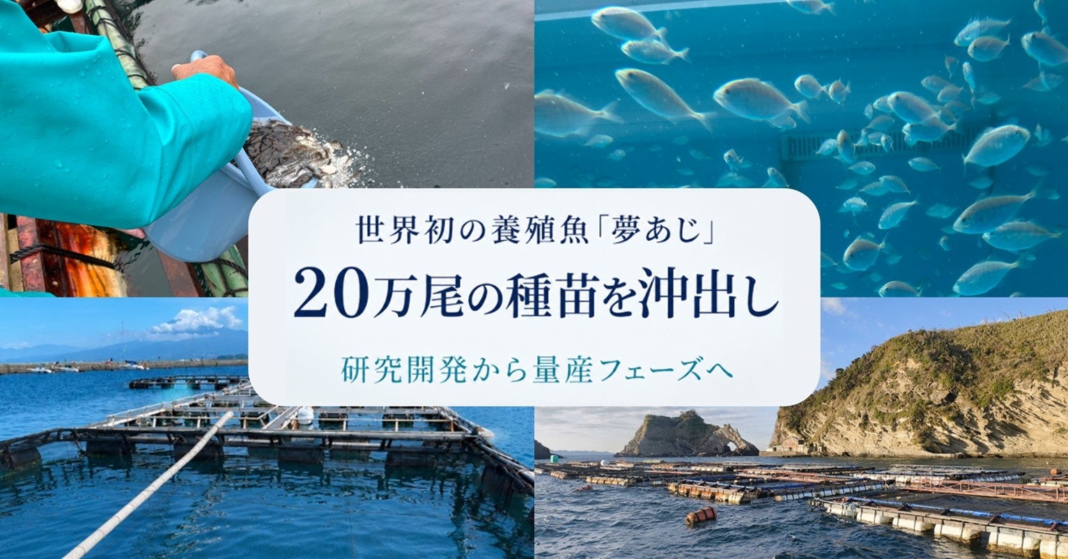 【餃子の王将】スッキリ旨辛「夏ラーメン」を期間限定販売！大好評の大葉香る「夏餃子」とのお得なセットも！