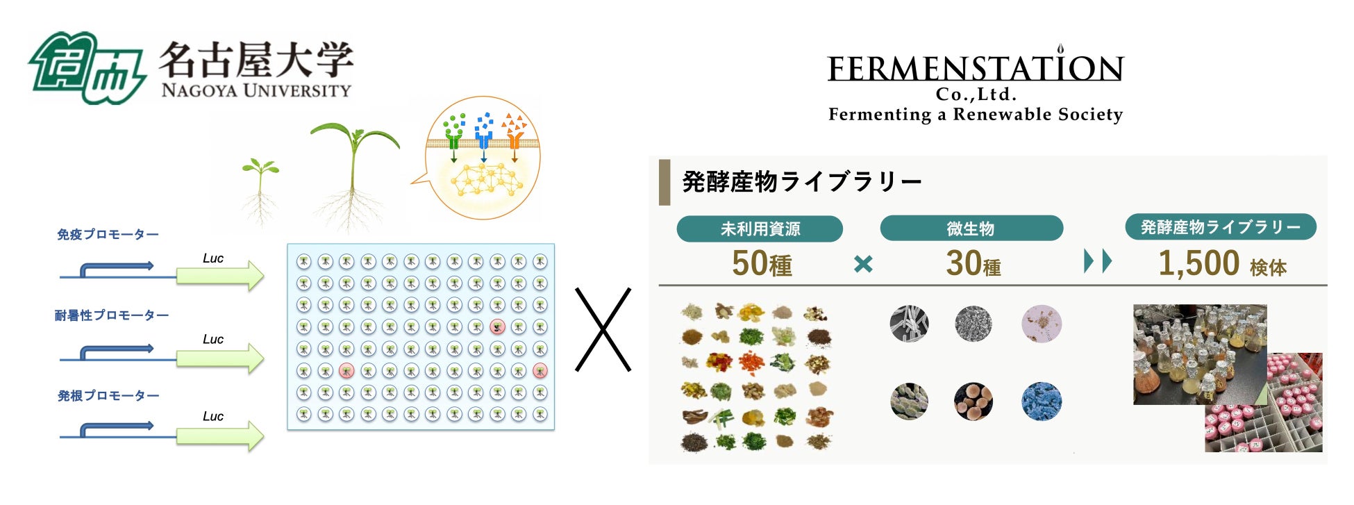 ウェルネスを提案する硬炭酸水ブランド「TURN Sparkling Water」、横浜みなとみらいで「TURN Wellness YOGA」を開催