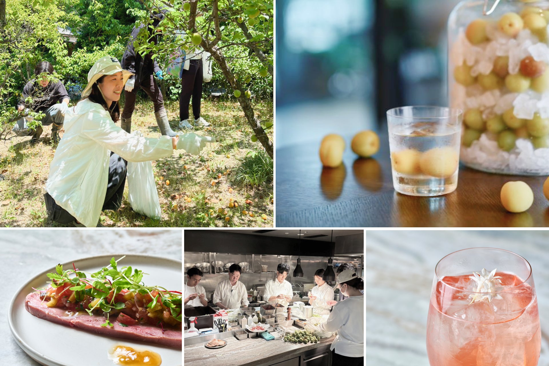 夏休みは家族でお得にホテルブッフェ!7月土日は小学生以下無料、8月平日は小学生半額・幼児無料