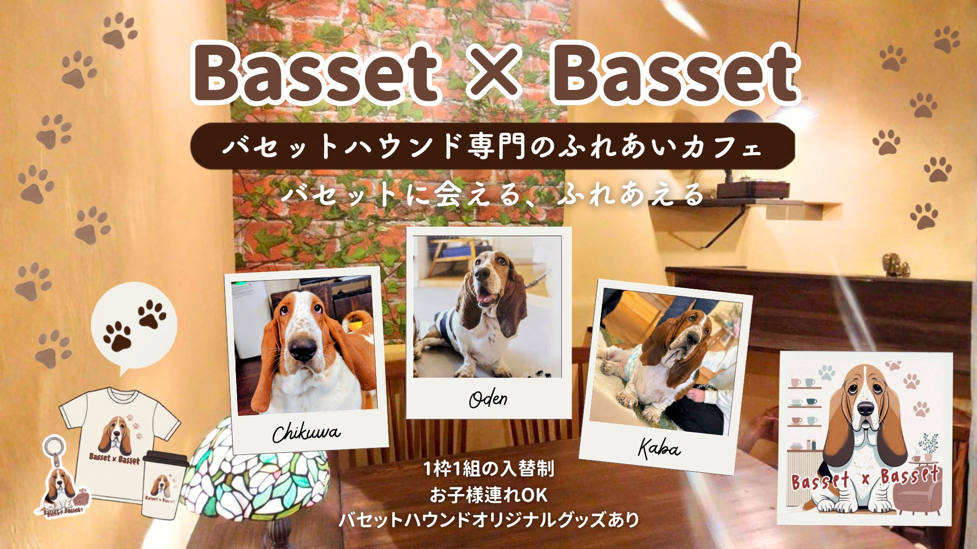 【愛知・豊橋市】７月２５日 （土）ふれあいスペース グランドオープンすべての縁は、バセットハウンドから始まった。コーヒーも、スイーツも、この場所も——3年間のマルシェが生んだ、つながりのカフェ