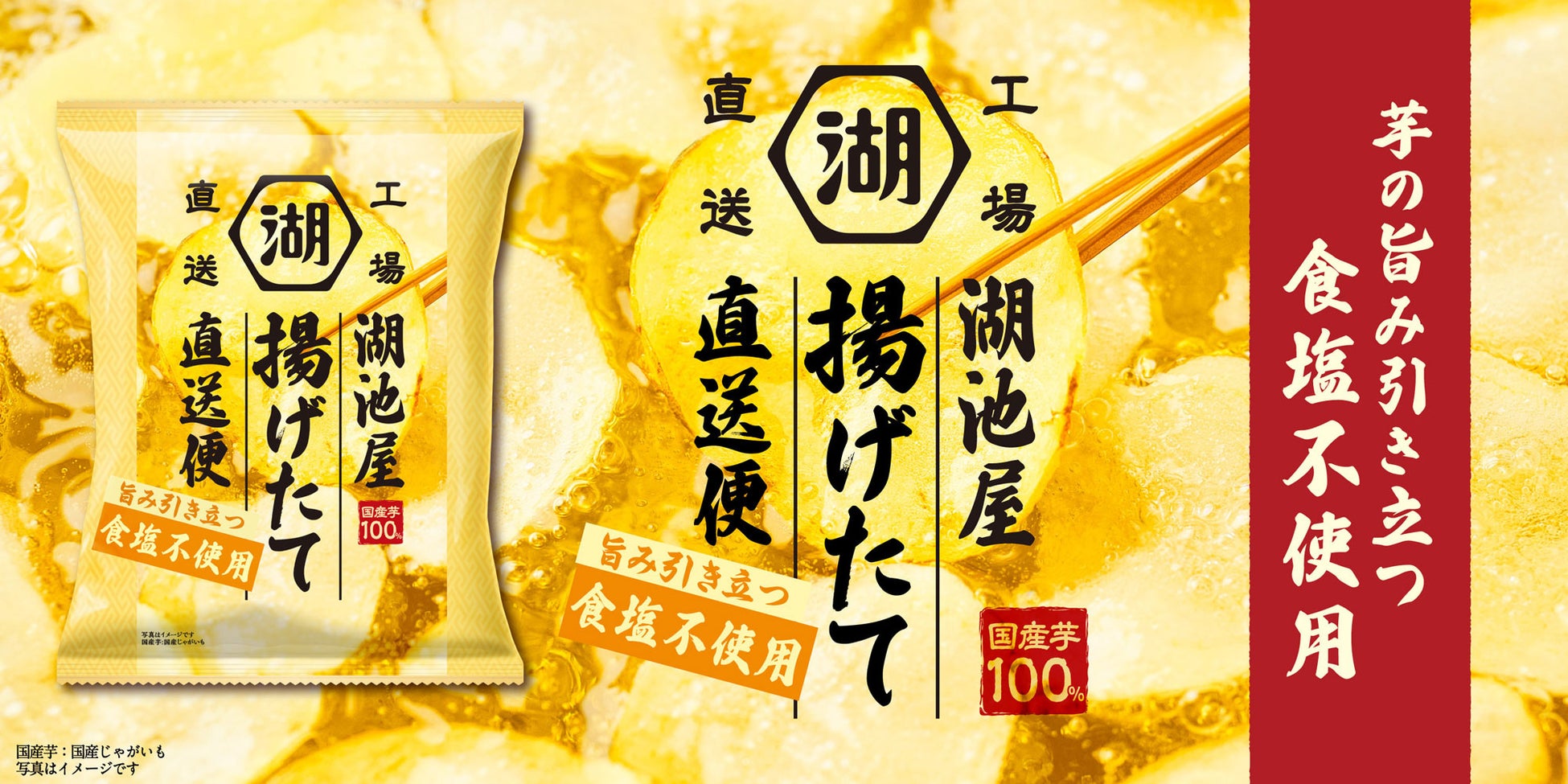 ヤマタネグループへの参画に関するお知らせ