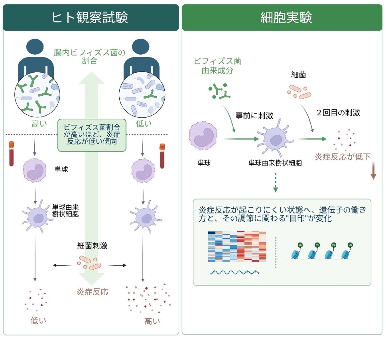 宮城県産米「特別価格」「増量規格」キャンペーンを ＪＡタウンショップ「タウンショップみやぎ」で 開催！