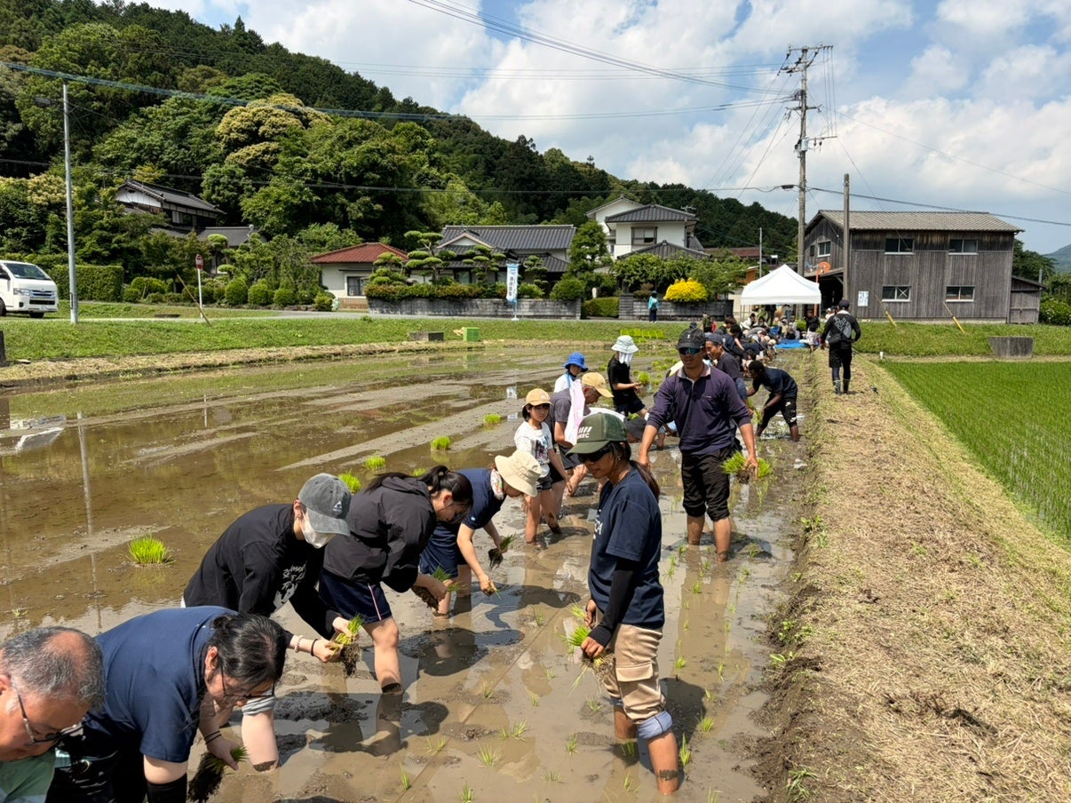 【シェラトングランドホテル広島】8月「スイーツブッフェ with ハーゲンダッツ アイスクリーム」開催｜パフェが主役の夏限定スイーツブッフェ
