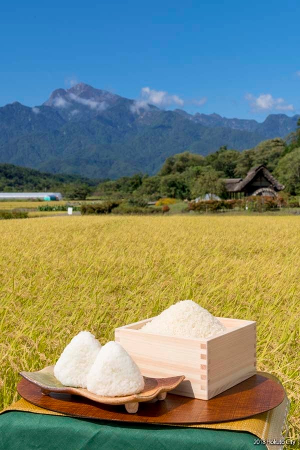 【スイッチオフしたい夜に】金沢・大野のヤマト醤油味噌が手掛けた「ヤマトどぶろく」が、2026年7月1日よりパッケージを全面リニューアル【国際品評会プラチナ賞受賞酒】