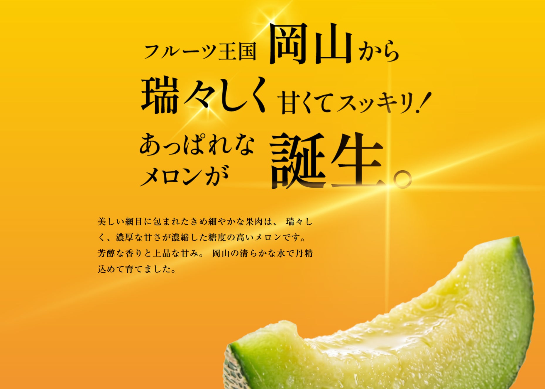 ネスプレッソ、日本市場初(※1) の新シリーズ「コーヒー プラス」登場