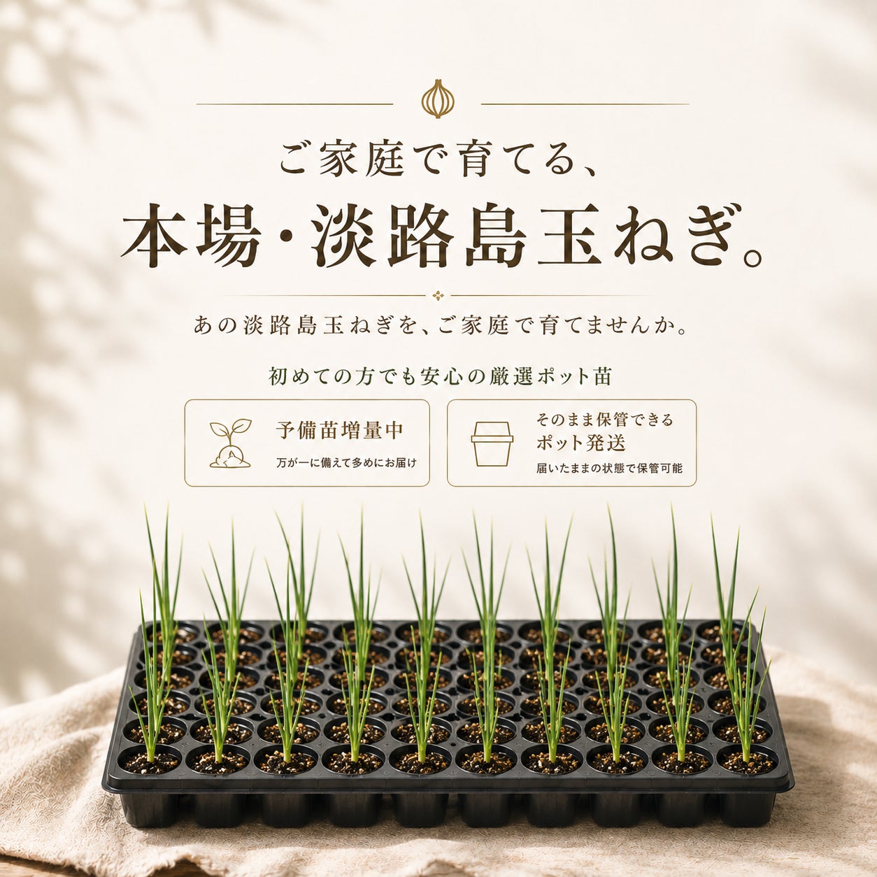 家庭菜園や自家農園で「淡路島玉ねぎ」を育てる贅沢を。玉ねぎ栽培の匠が厳選した3品種の玉ねぎ苗を予約開始！