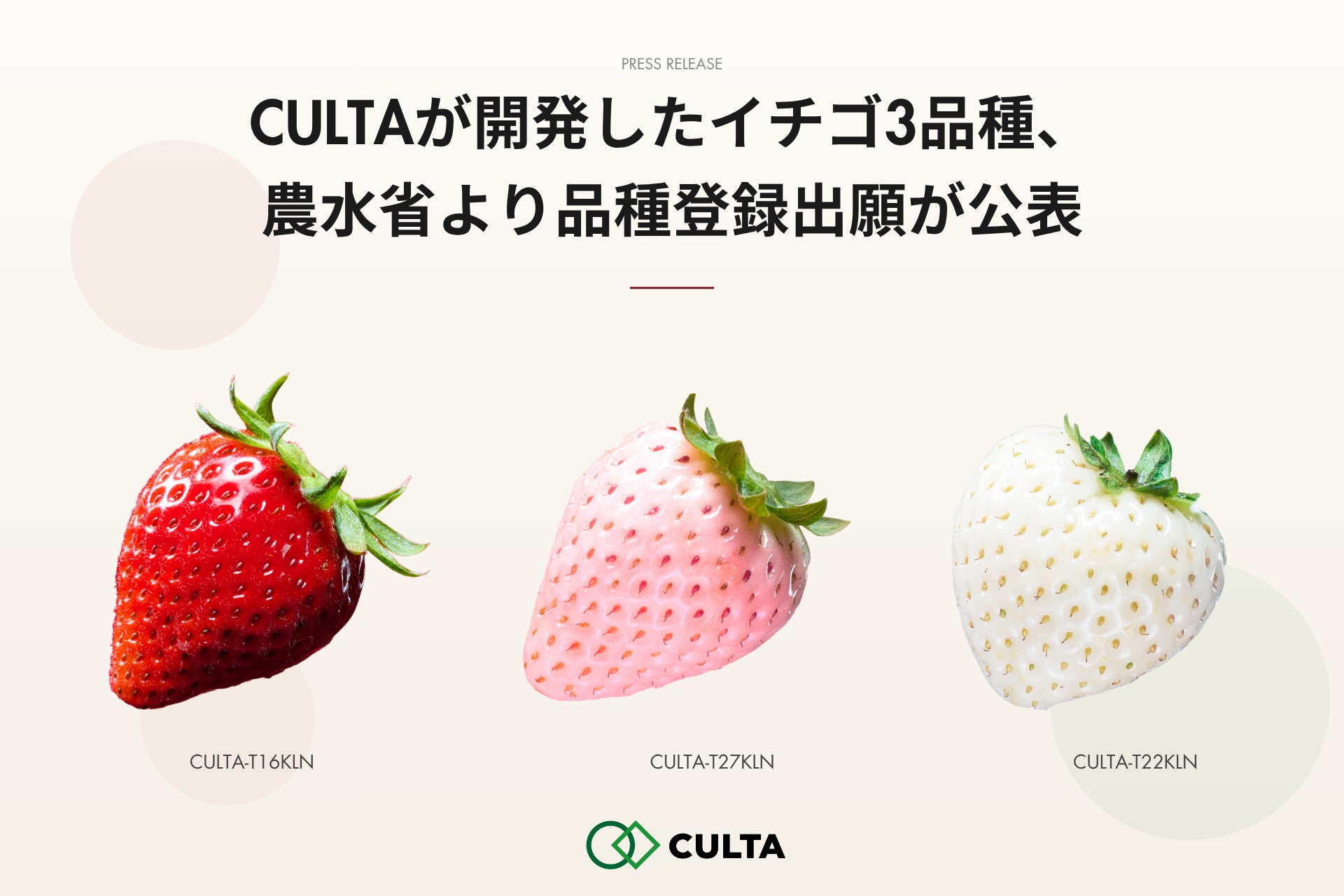 CULTAが開発したイチゴ3品種、農水省より品種登録出願が公表