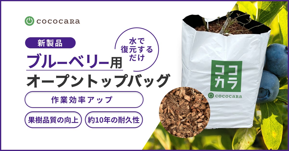 ビートレンド、LINEヤフーが発足した『カスタマーグロースコンソーシアム』にTechnology Partnerとして参画