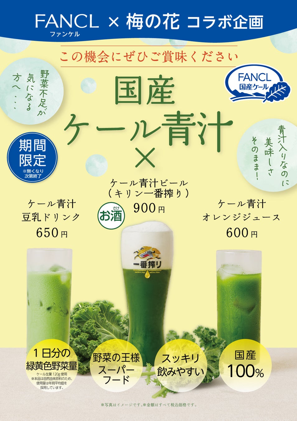 COLDRAW、飲食・ホスピタリティ事業者向け　「ブリューイングパートナープログラム」を始動