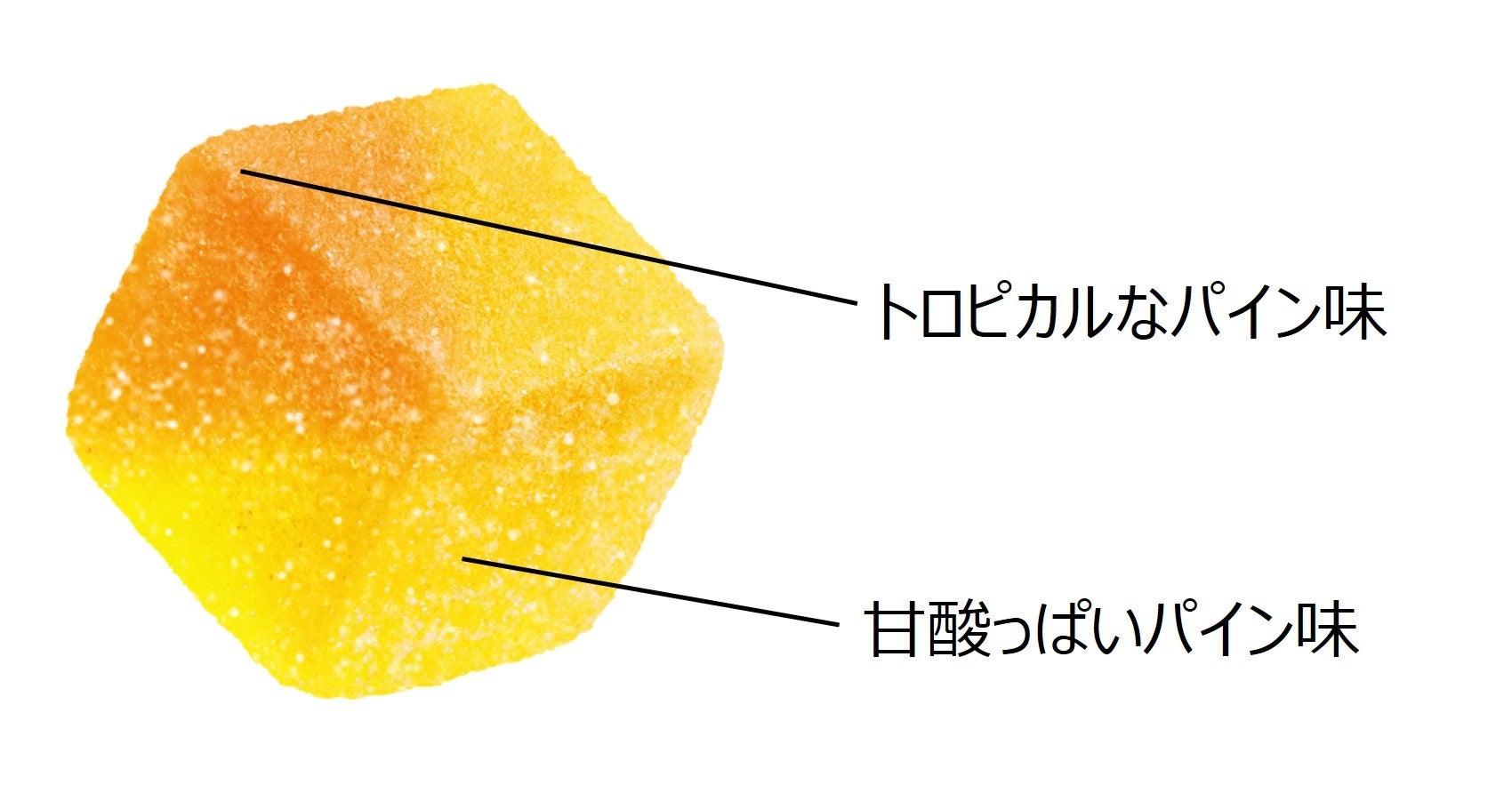 ガソリンスタンド跡地が3日間限定でワインとアートの空間に。「Ikejiri Wart Fair」8月28日より開催