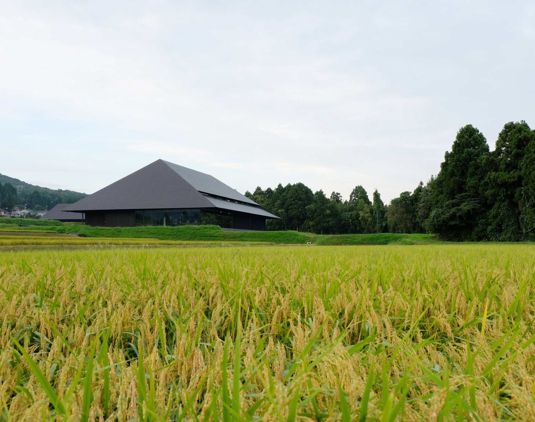 株式会社MAE、日本酒「IWA」の株式会社白岩と資本業務提携。立山の地で、米づくりから酒づくりまでを地域とともに育てる