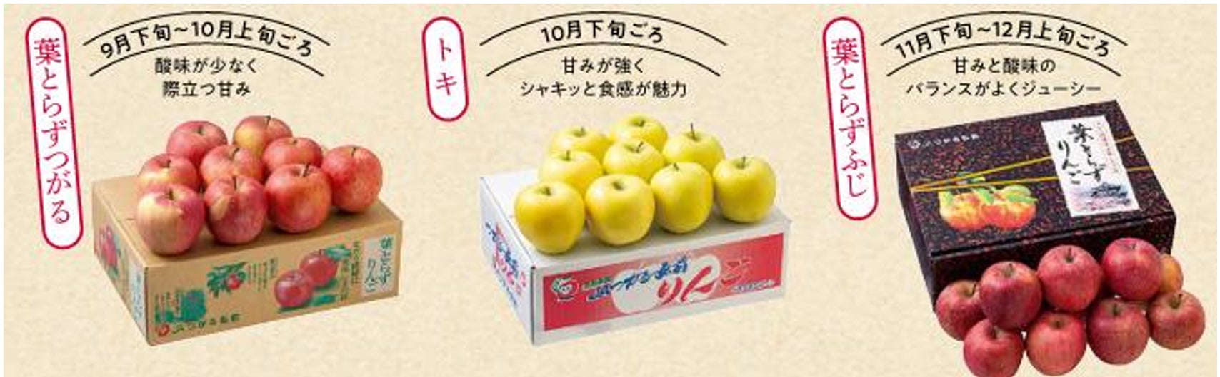【コープデリ】青森県「JAつがる弘前」と協同した、持続可能なりんご生産の応援　昨年大好評の「りんご生産者サポート」