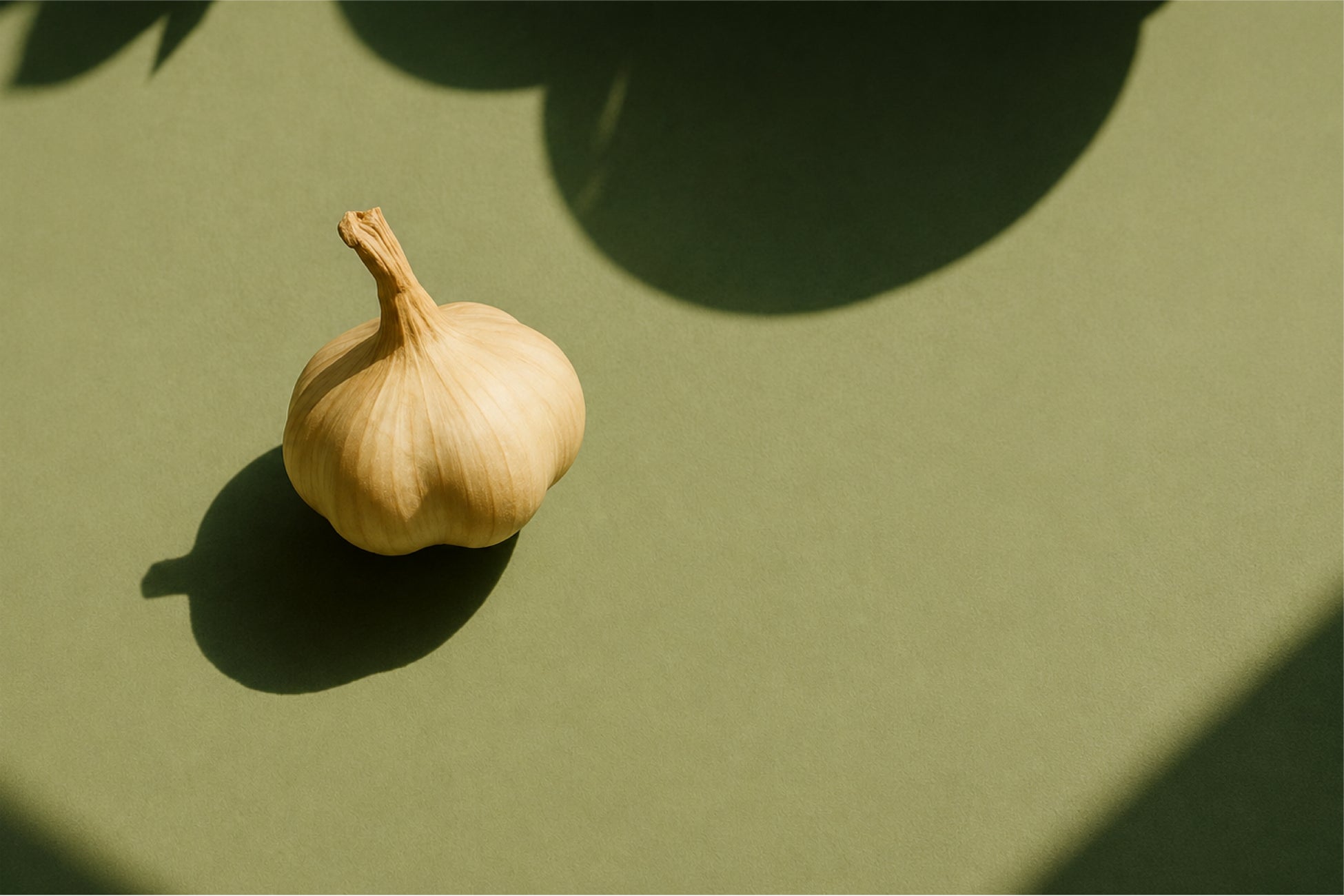 バイオガスプラントから農業、食へ。米沢発の新ブランド「THE GARLIC & LAB」が始動