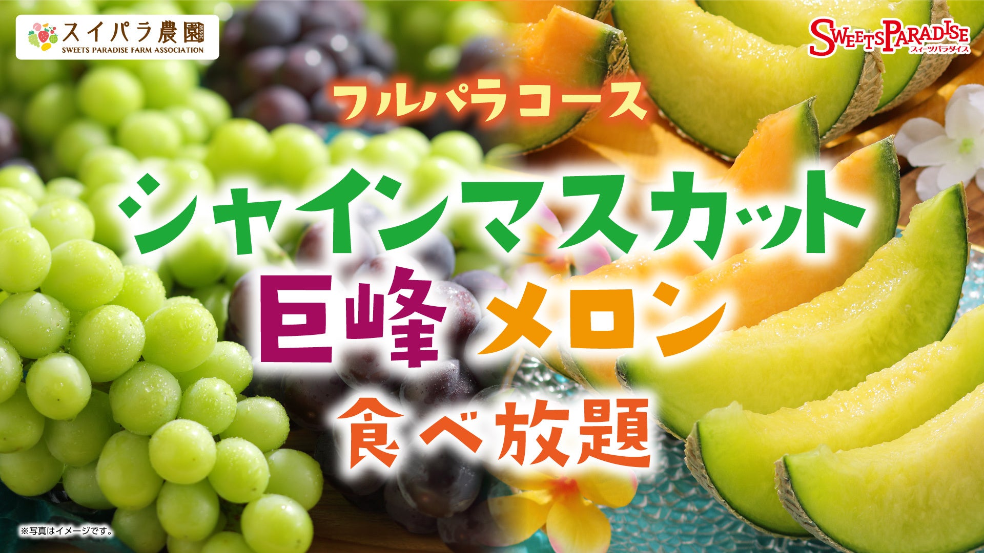 ファン待望！毎年好評の『メープルピスタチオクッキー』 が今年も登場。【ザ・メープルマニア】より、9月1日（火）発売開始。