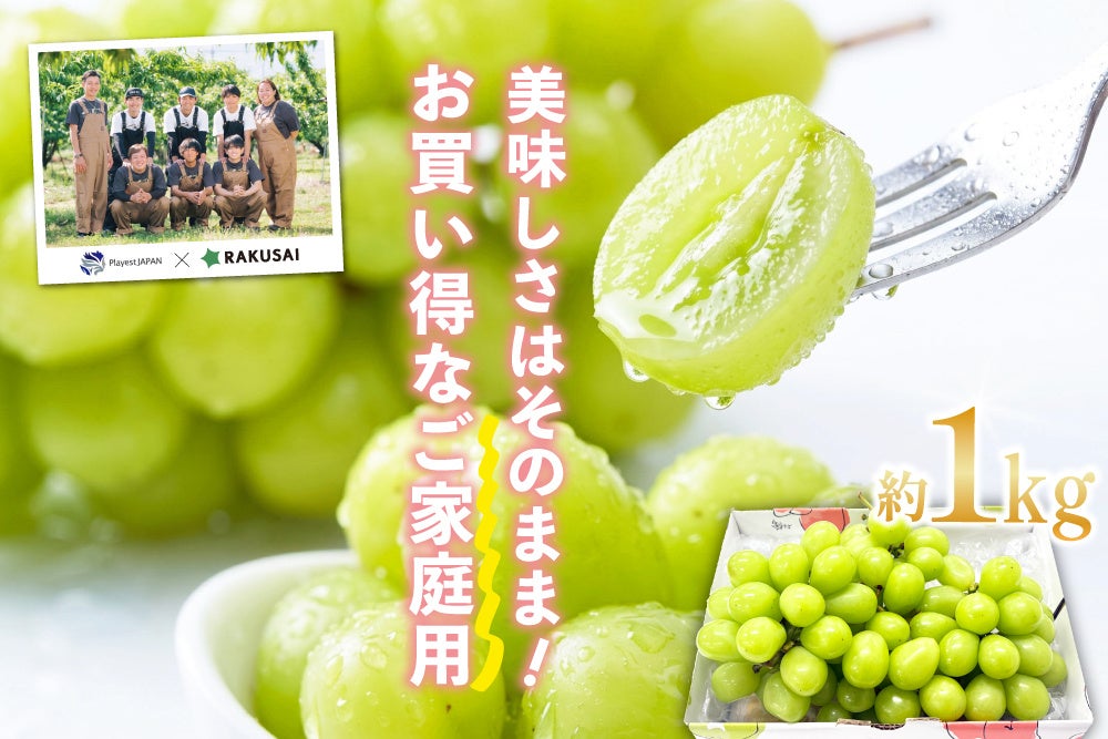 サッポロ生ビール黒ラベル「山本由伸」デザイン缶9月1日(火)数量限定発売