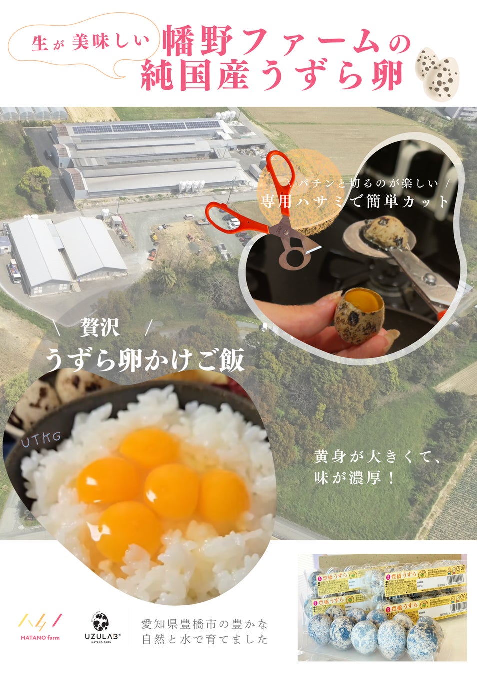 【クラファン1,212名支援】愛知・豊橋の「幡野ファーム」が試食BARアサクサに初出展！希少な国産うずら卵商品を浅草で体験
