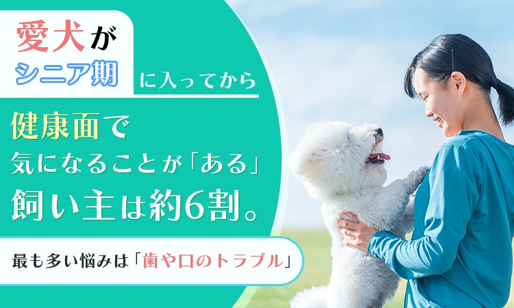 【日本唯一※】グアテマラ・コバン地区に特化したコーヒーオンラインショップ「Cobán Coffee Club.」が9月1日(火)にグランドオープン!