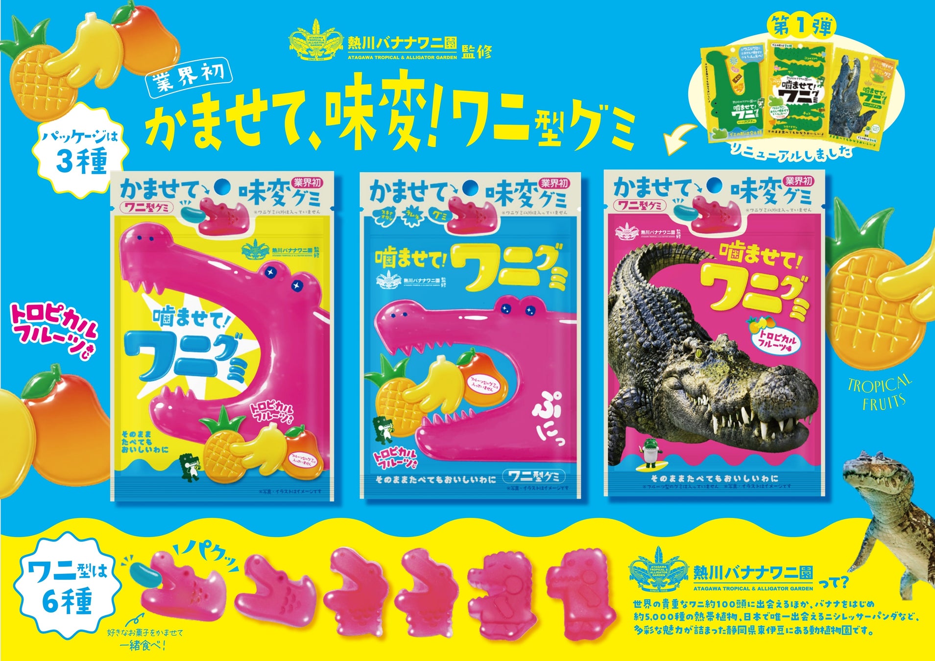 9月6日は「クロの日」!黒糖を使用したスイーツ2品を発売!「アールグレイ香る生ドーナツ(黒糖ホイップ)」と「黒糖ラテプリン」