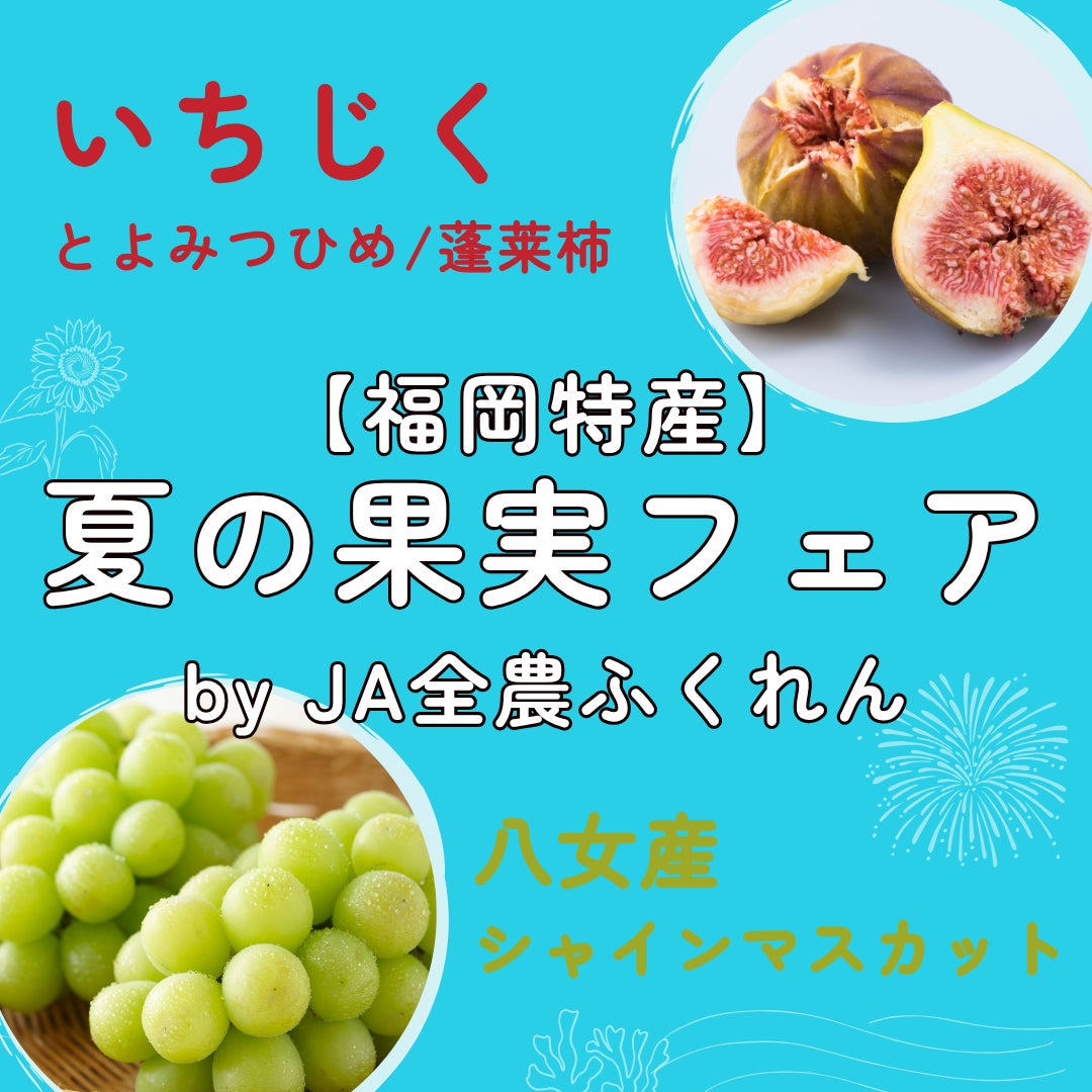 日本最適化栄養食協会が戸板女子短期大学で開催された「放課後フェス2026」に出展