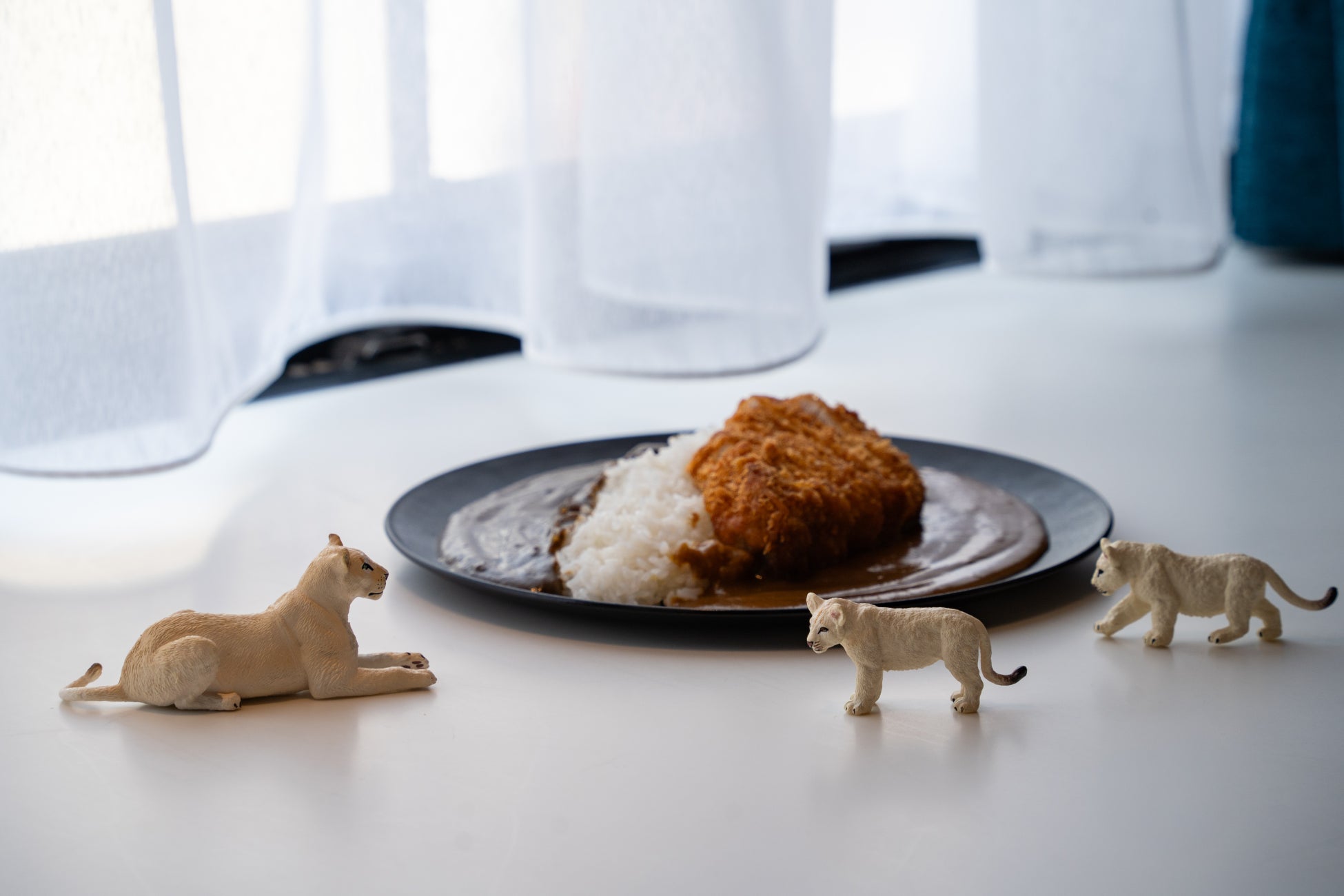 シルバーウィークは神戸北野ノスタへ！「北野カレー」が1周年記念イベントを開催。カレーを550円から提供します