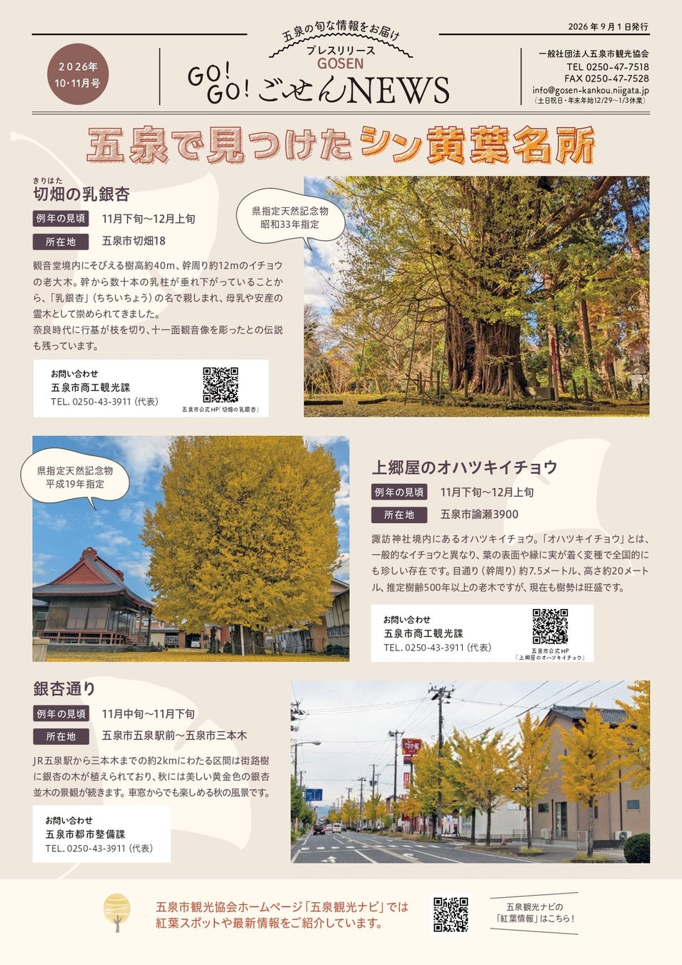 幹周り12mの”乳銀杏”や、9年ぶり復活の「ぎんなん祭り」。県天然記念物の巨木めぐりから、栗・さといもなど旬を味わうイベントまで! 「GO！GO！ごせんNEWS」2026年10・11月号を発行