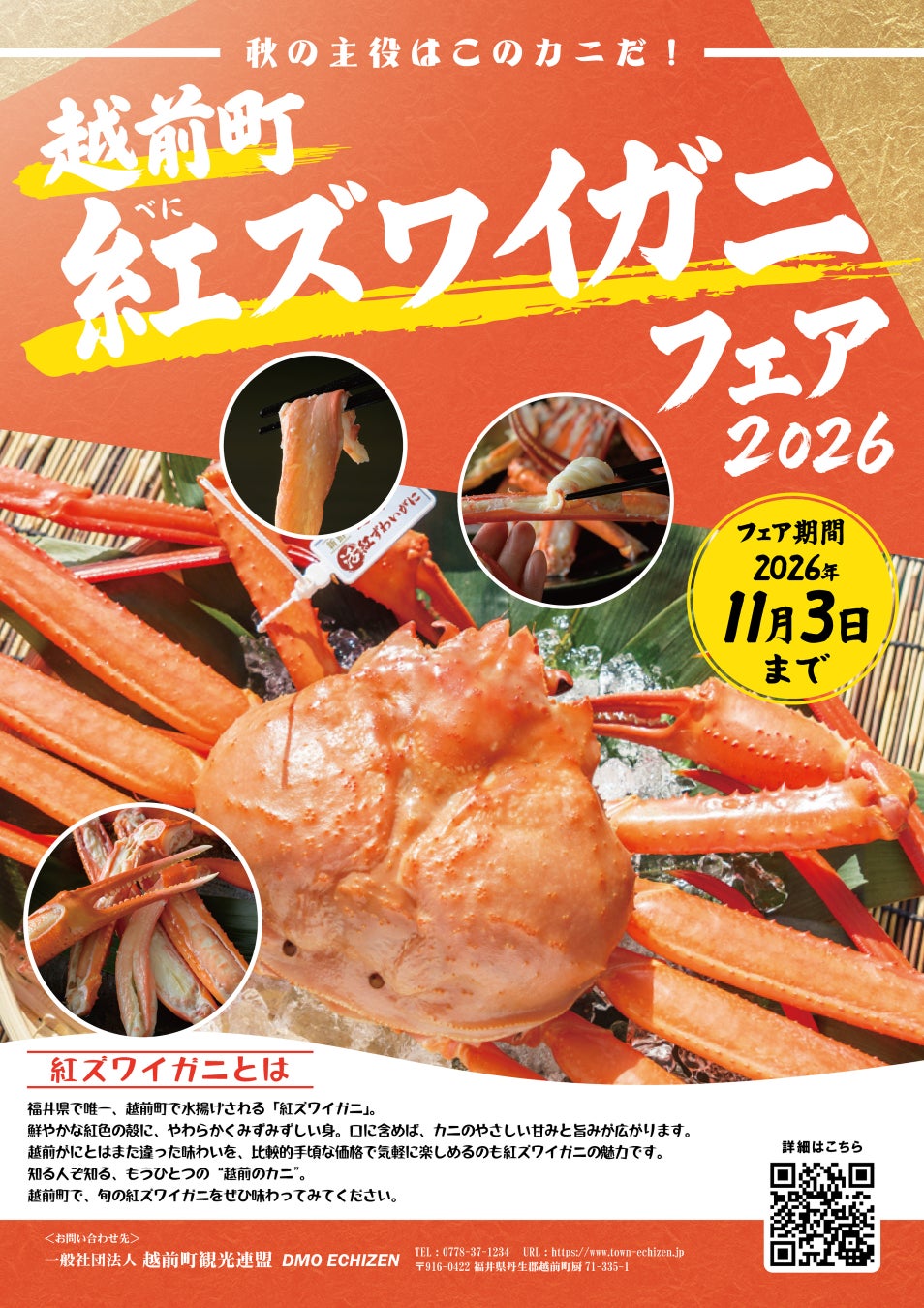 【福井県越前町】一足早くカニを堪能しよう！福井県越前町で「紅ズワイガニフェア」を11月3日(火)まで開催！