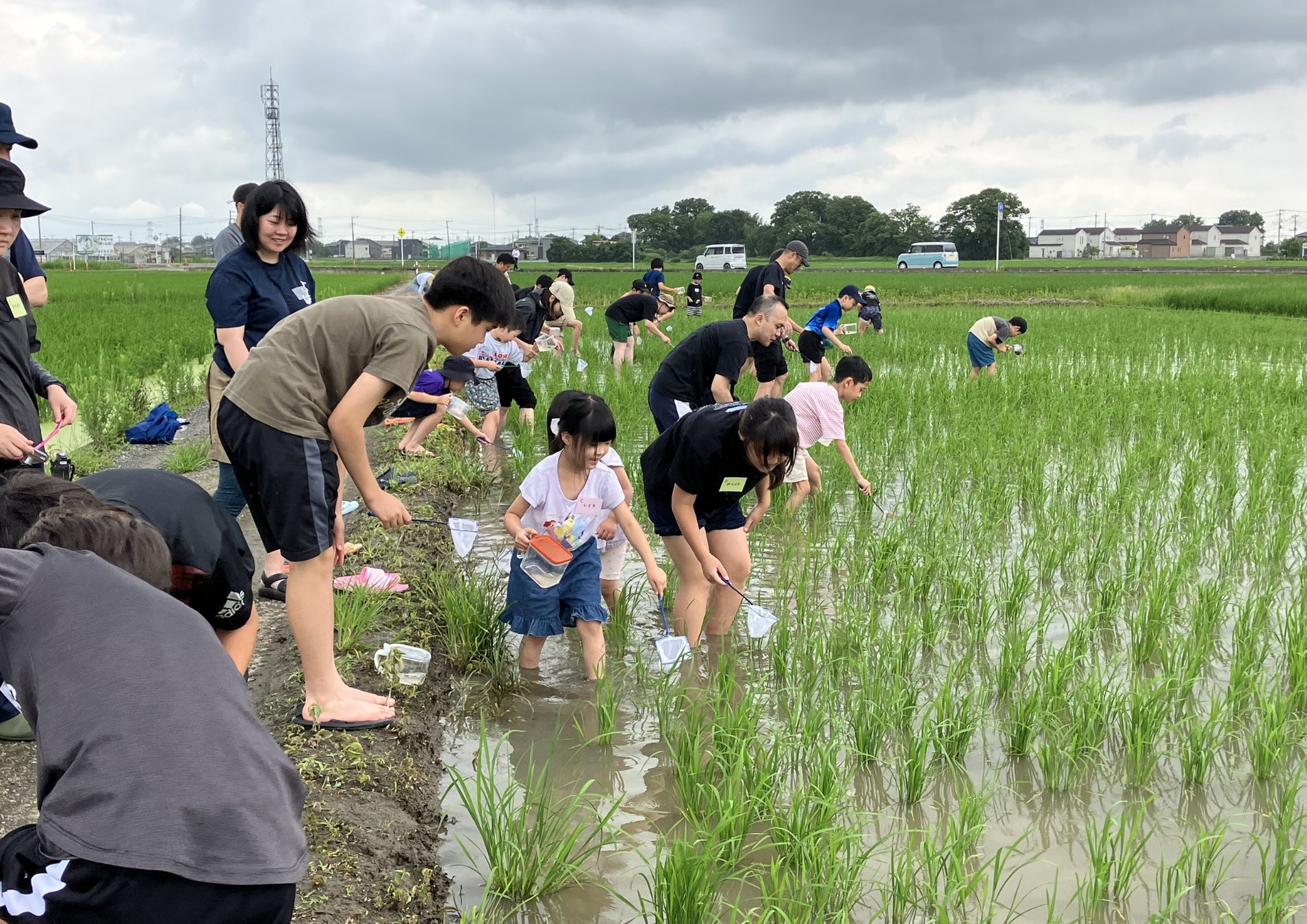 【源氏総本店 南越谷店】「源氏アフタヌーンティー 〜生しぼり濃厚栗モンブラン〜」を平日限定で販売開始