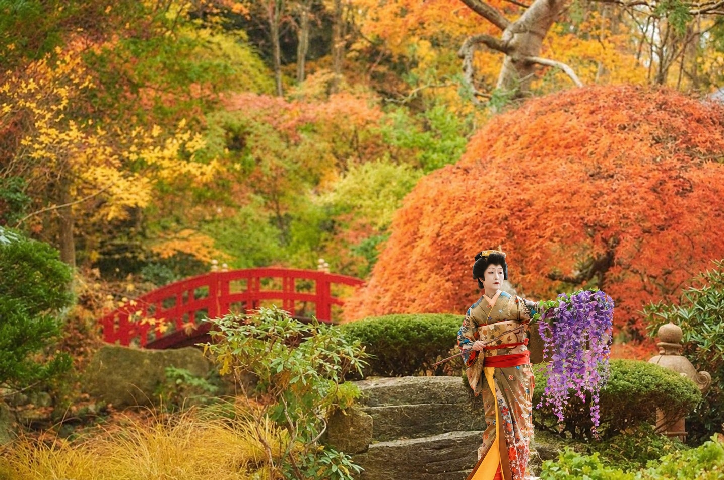 日本庭園の紅葉を借景に、日本舞踊を間近で　札幌エルムガーデンが平日限定ランチ〈野舞（のまい）会席〉開催中