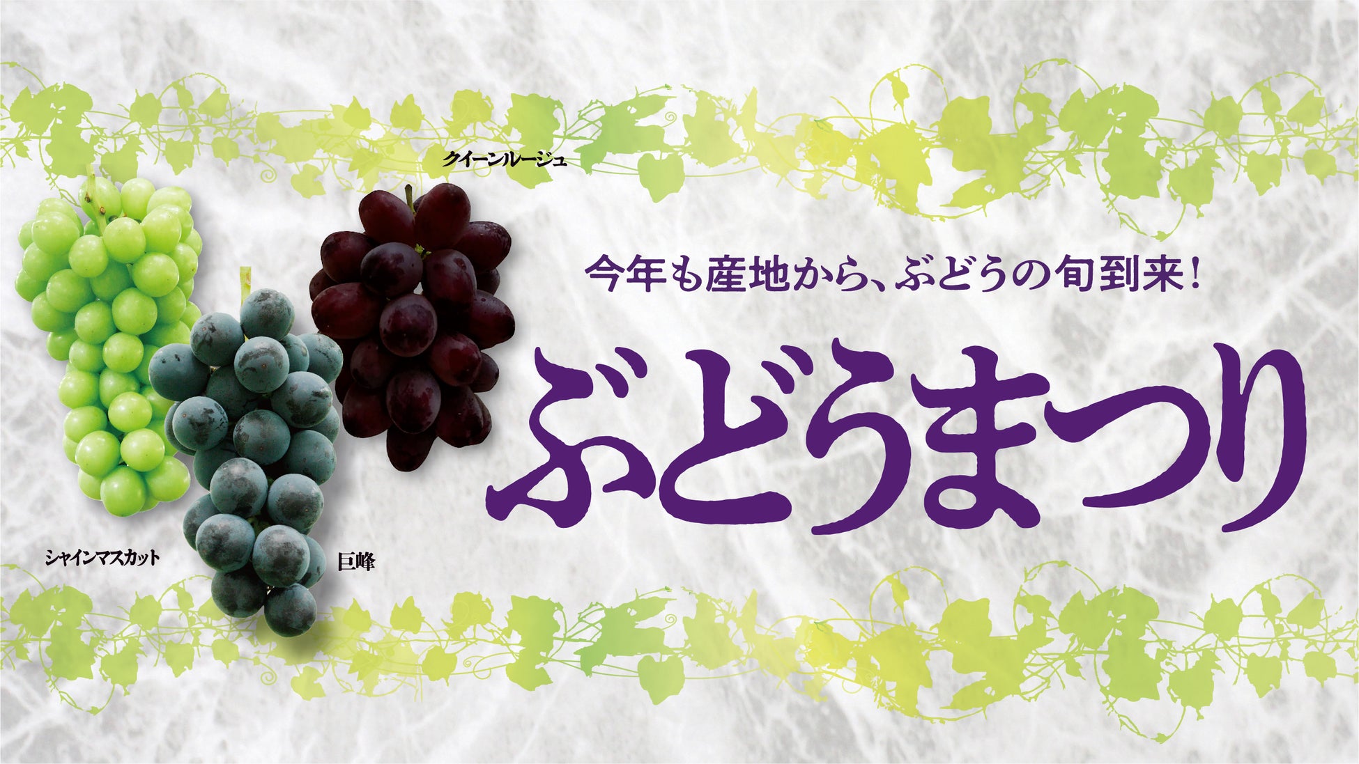 旬のぶどう、食べ比べ！ 紀ノ国屋で「秋の味覚」が大集合。9月12日（土）から「ぶどうまつり」開催。秋の行楽弁当や芋・栗・かぼちゃの限定パンも登場