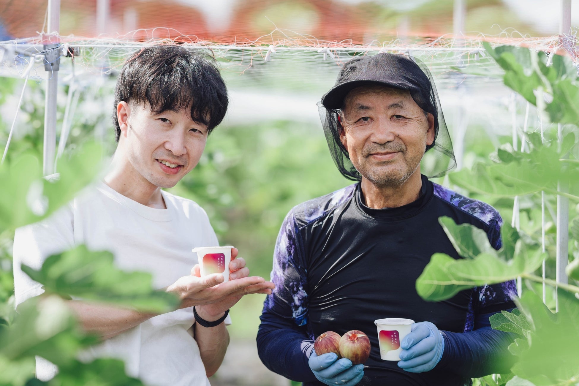 65歳からいちじく農家を始めた梶谷ファームと三朝ヨーグルトがコラボ。「いちじくヨーグルト」今シーズンの販売を開始