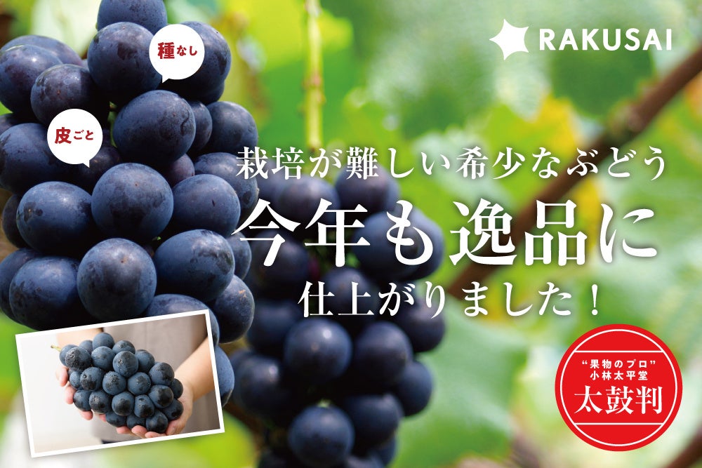 パティシエがつくる、都市で暮らし働く人のための“おやつ”。三軒茶屋「sarkara（サルカラ