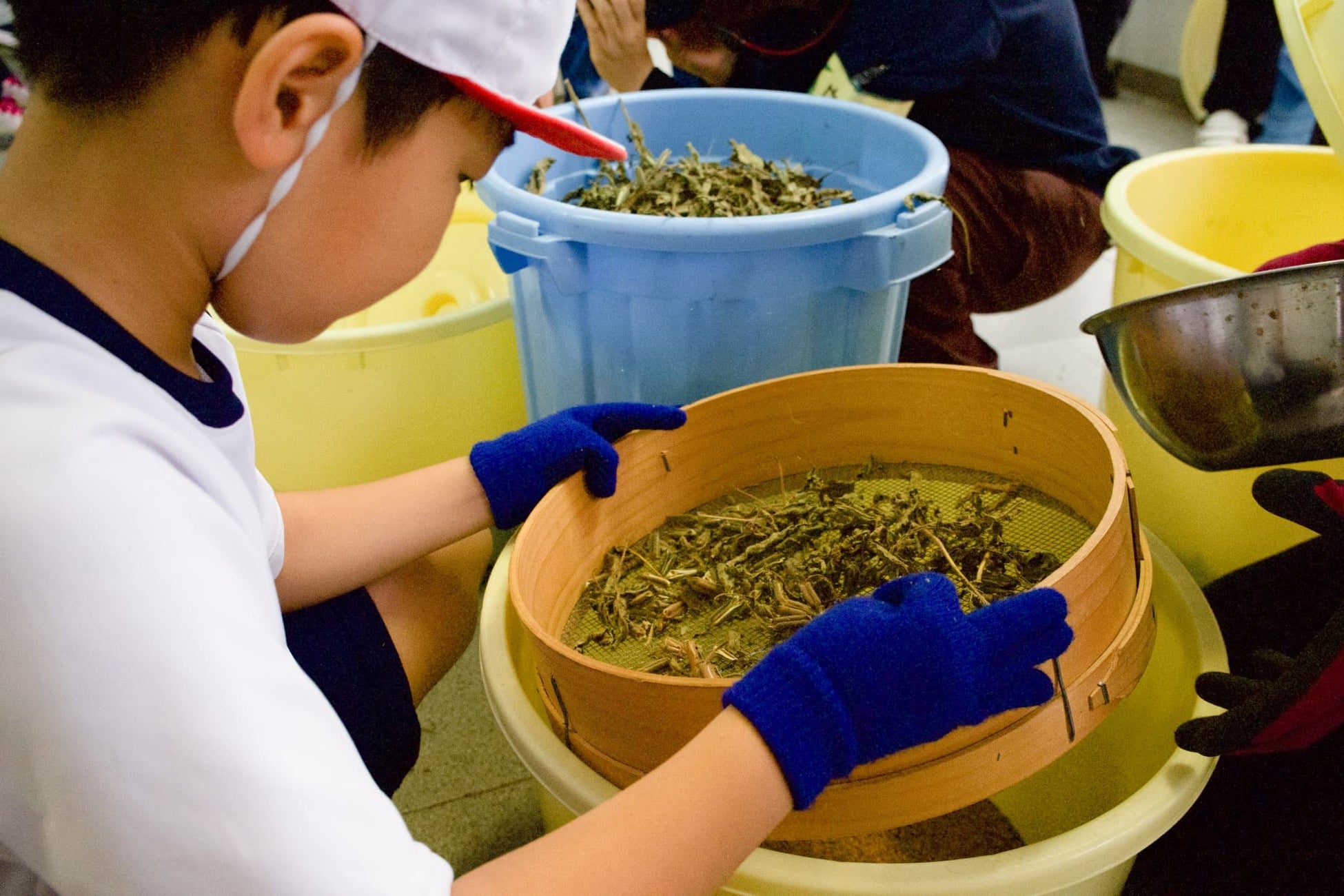 小豆島で創業168年のごま専業メーカー「かどや」4年目となる「ごまでつながる持続可能な島」を目指す取り組み『ごまのみらい小豆島プロジェクト』