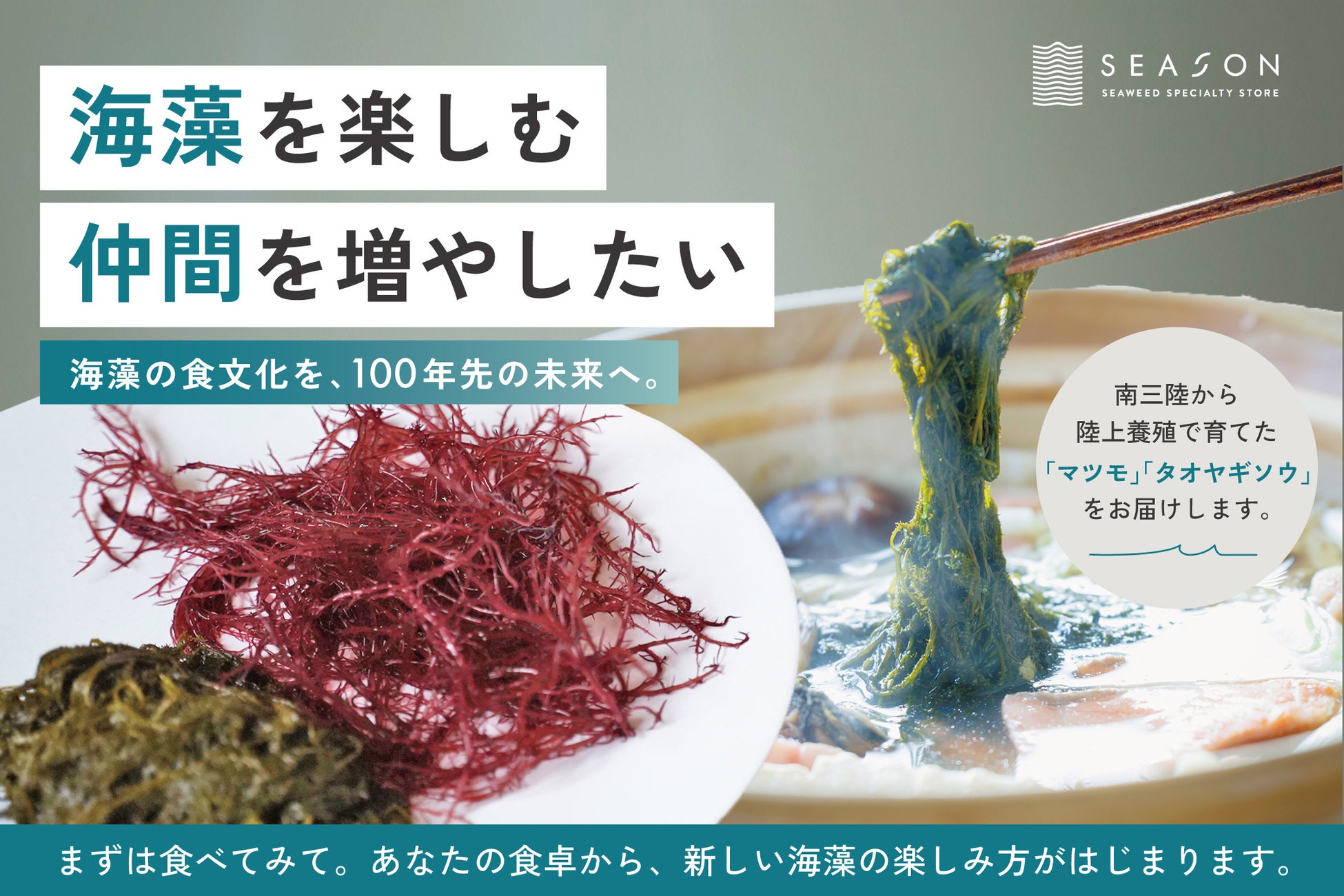 海藻専門店SEASON｜希少海藻「マツモ」「タオヤギソウ」の陸上養殖を通じ、海藻を楽しむ仲間を増やすクラウドファンディングを開始
