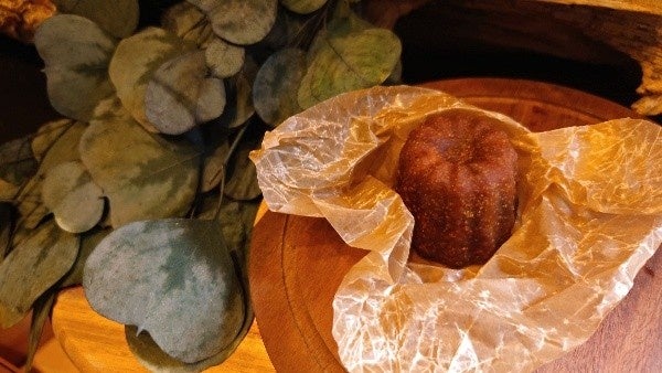 令和8年熊本地震復興応援『九州・熊本フェスティバル』開催 天神