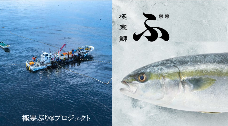 海の環境変化に対応し、地域の中で価値ある資源に。北海道白糠町で進む「極寒ぶり®プロジェクト」